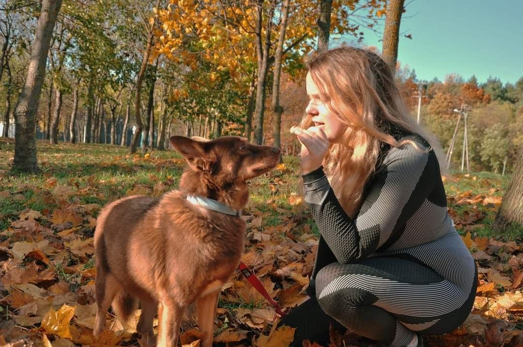 Wampirek tak długo czeka na swój dom! Adoptuj starszego psiaka!