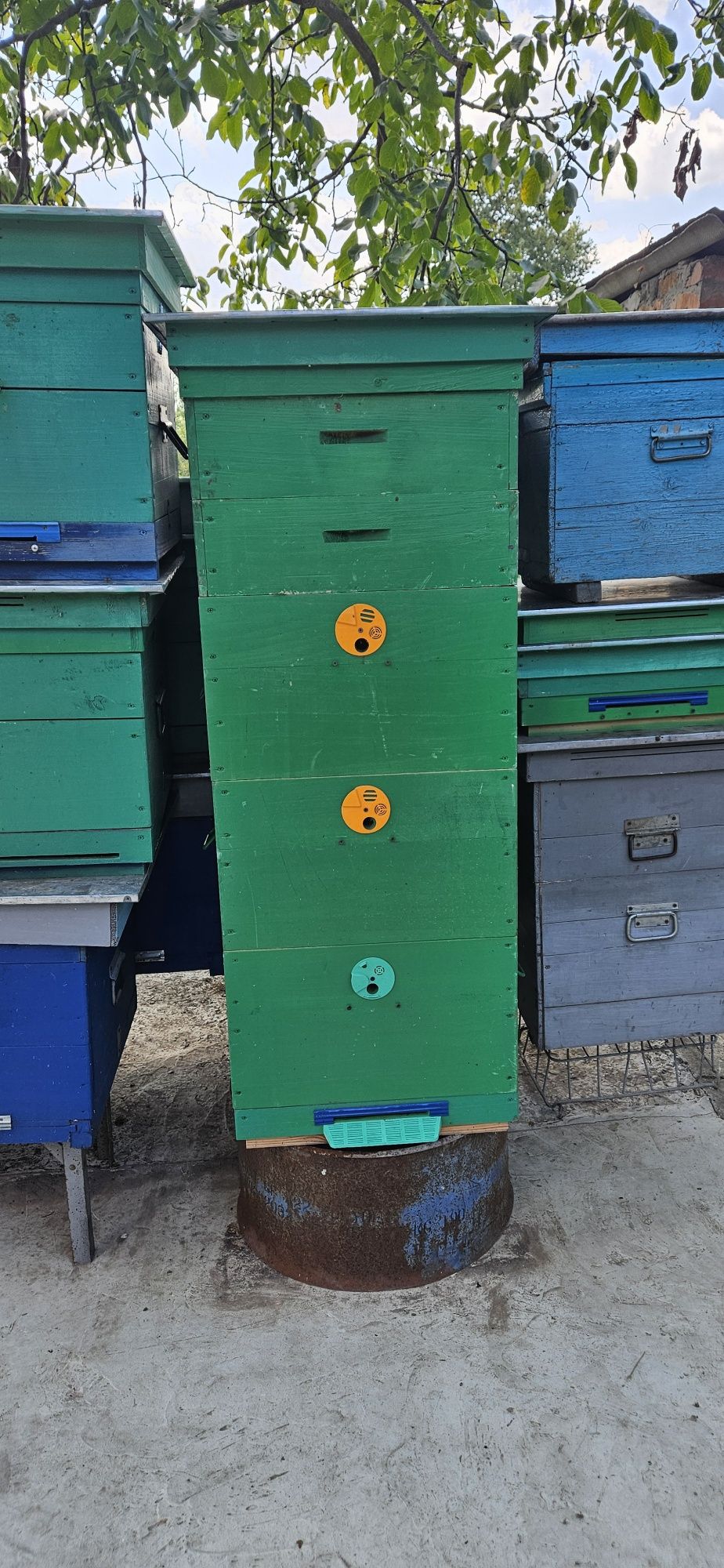 Продам вулики для  бджол
