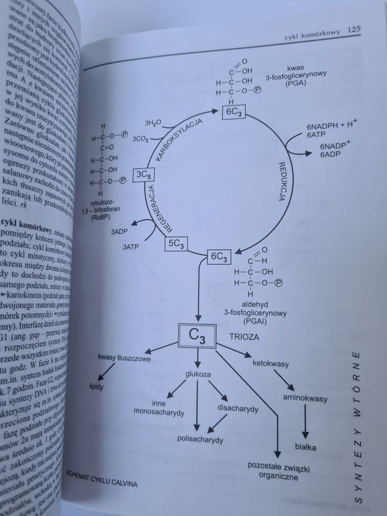 Biologia - Encyklopedia szkolna