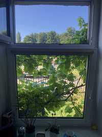 Okno używane z zew brązowe wew białe