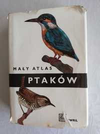 Mały atlas ptaków wydanie z 1971 r.