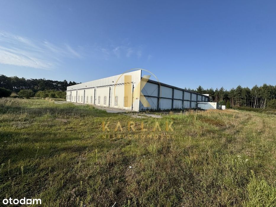 Hala Magazyn Produkcja Pieczarki 2200 m2 Dolsk