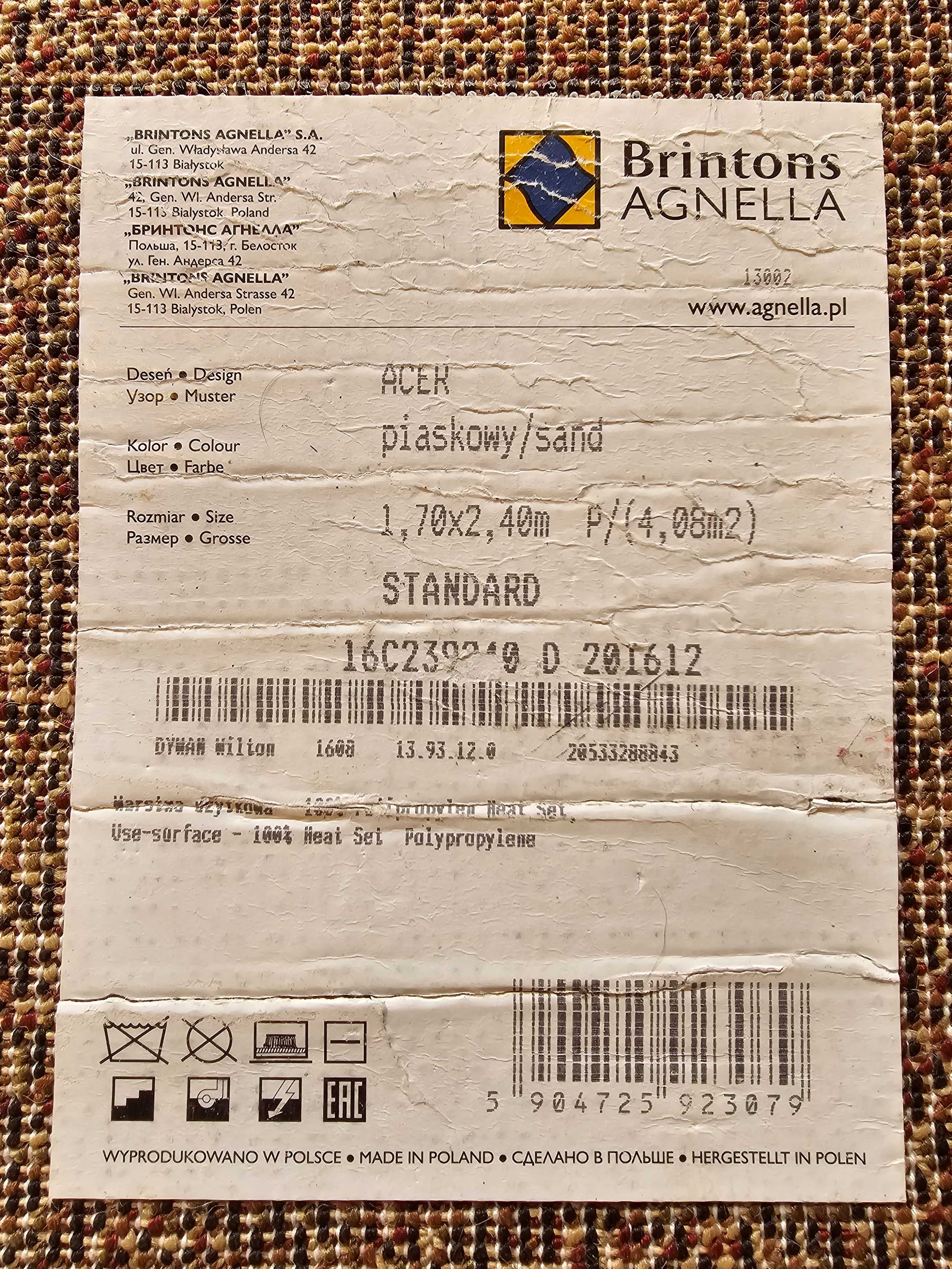 Dywan Agnella Standard Acer Piaskowy 170cm x 240cm