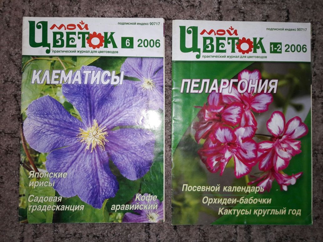 Мой цветок, 2006 - 2007 гг.