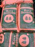 Kora sosnowa Łódź