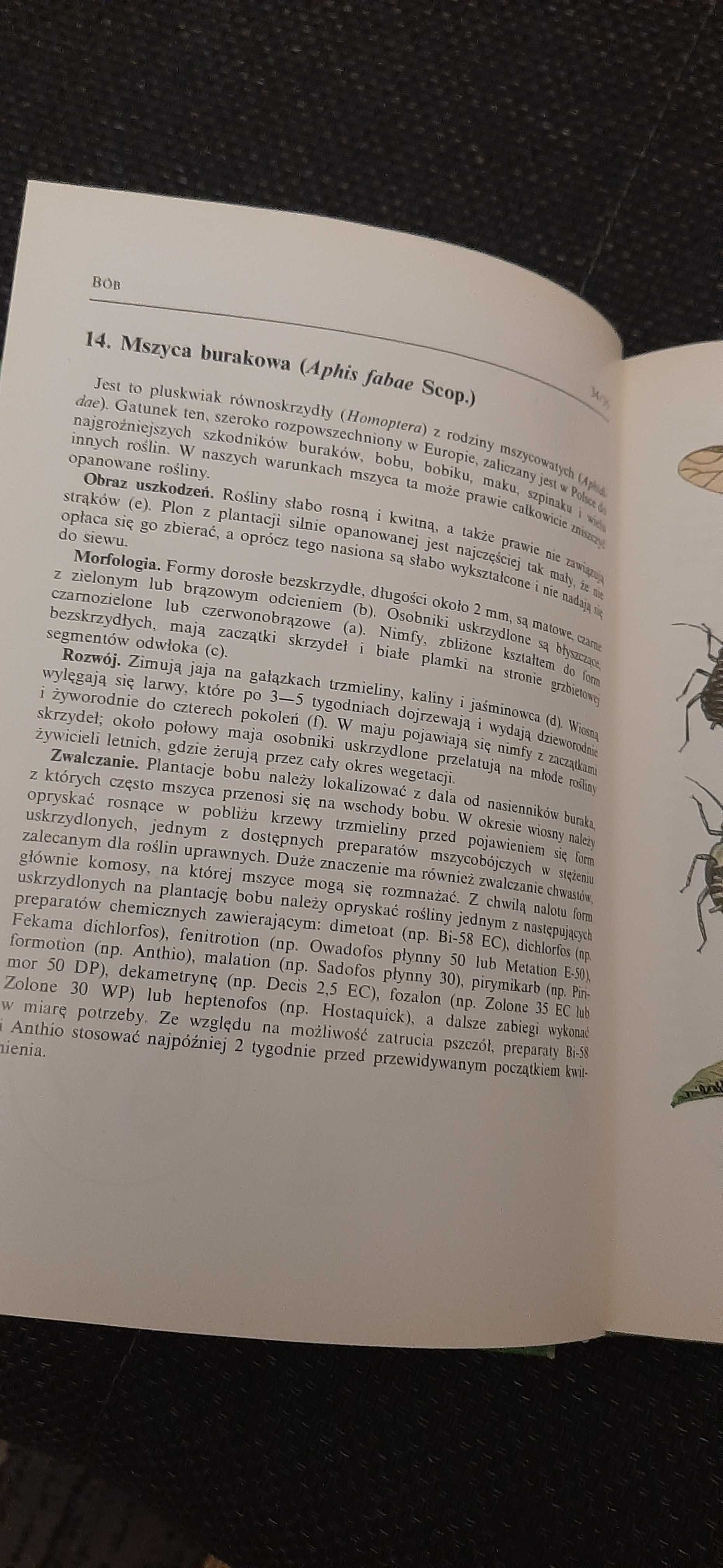 Atlas Chorób i szkodników roślin warzywnych- A. Studzinski