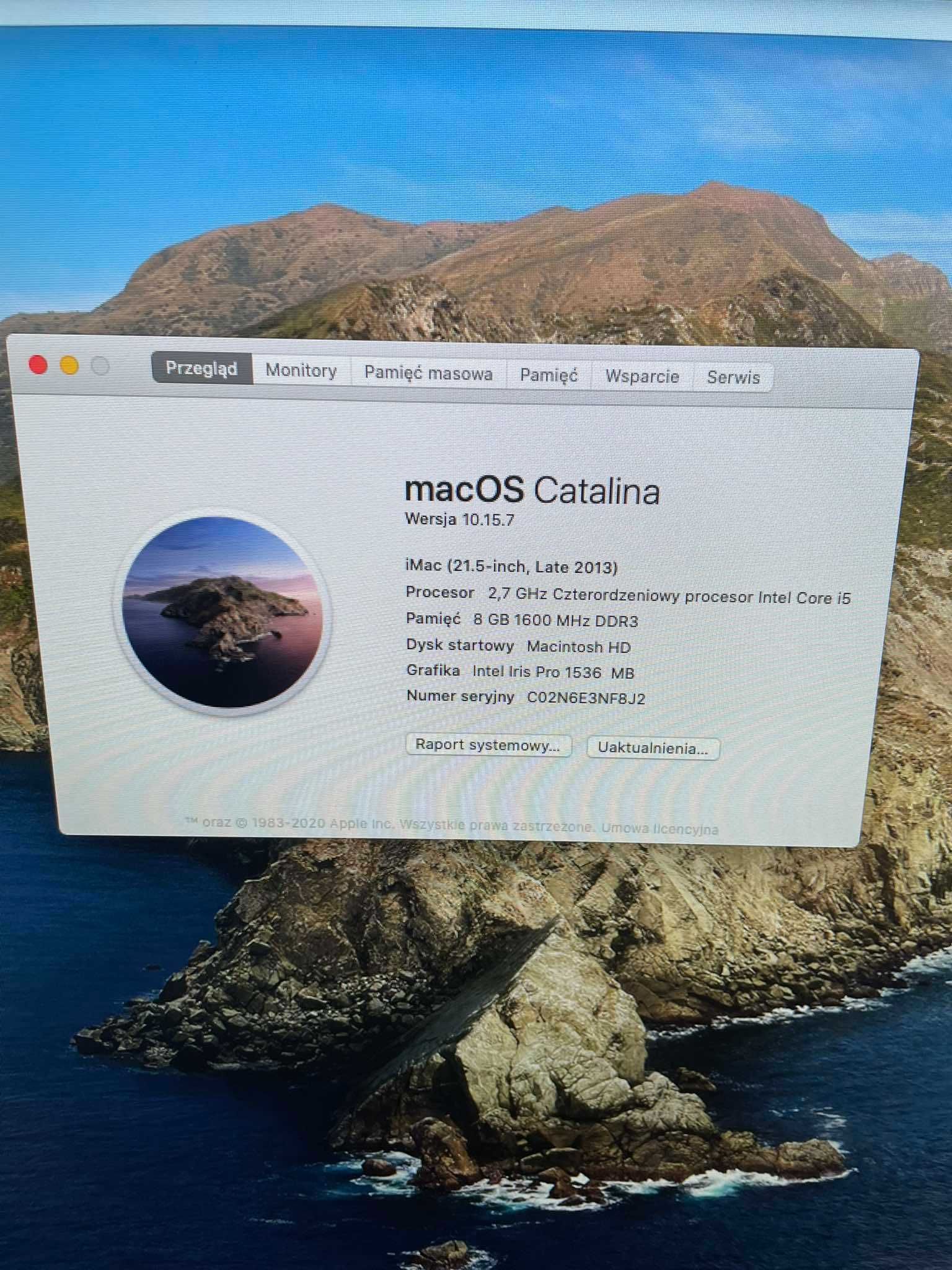 iMac 21,5" 2013r C02N6E3NF8J2