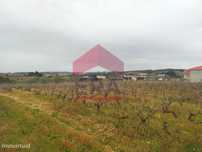 Terreno para Construção com 3900m2
