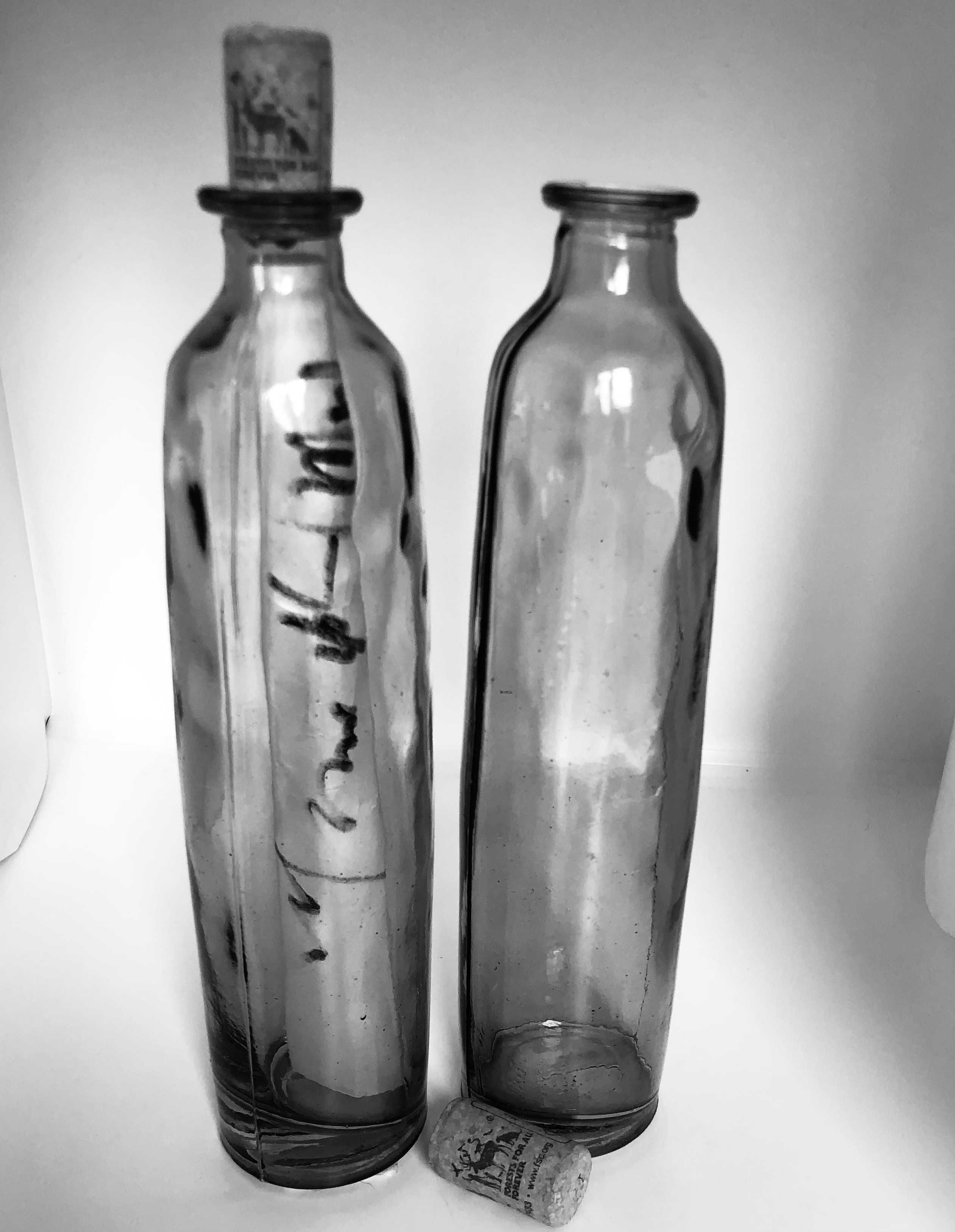 Декоративні вази-пляшки «SOS - Рятуйте Наші Душі»