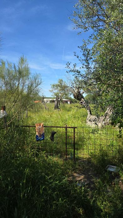 Excelente Quinta com potencial para turismo rural ou mesmo particular.