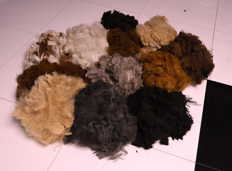 Runo Alpaki  Wełna z Alpak różne kolory