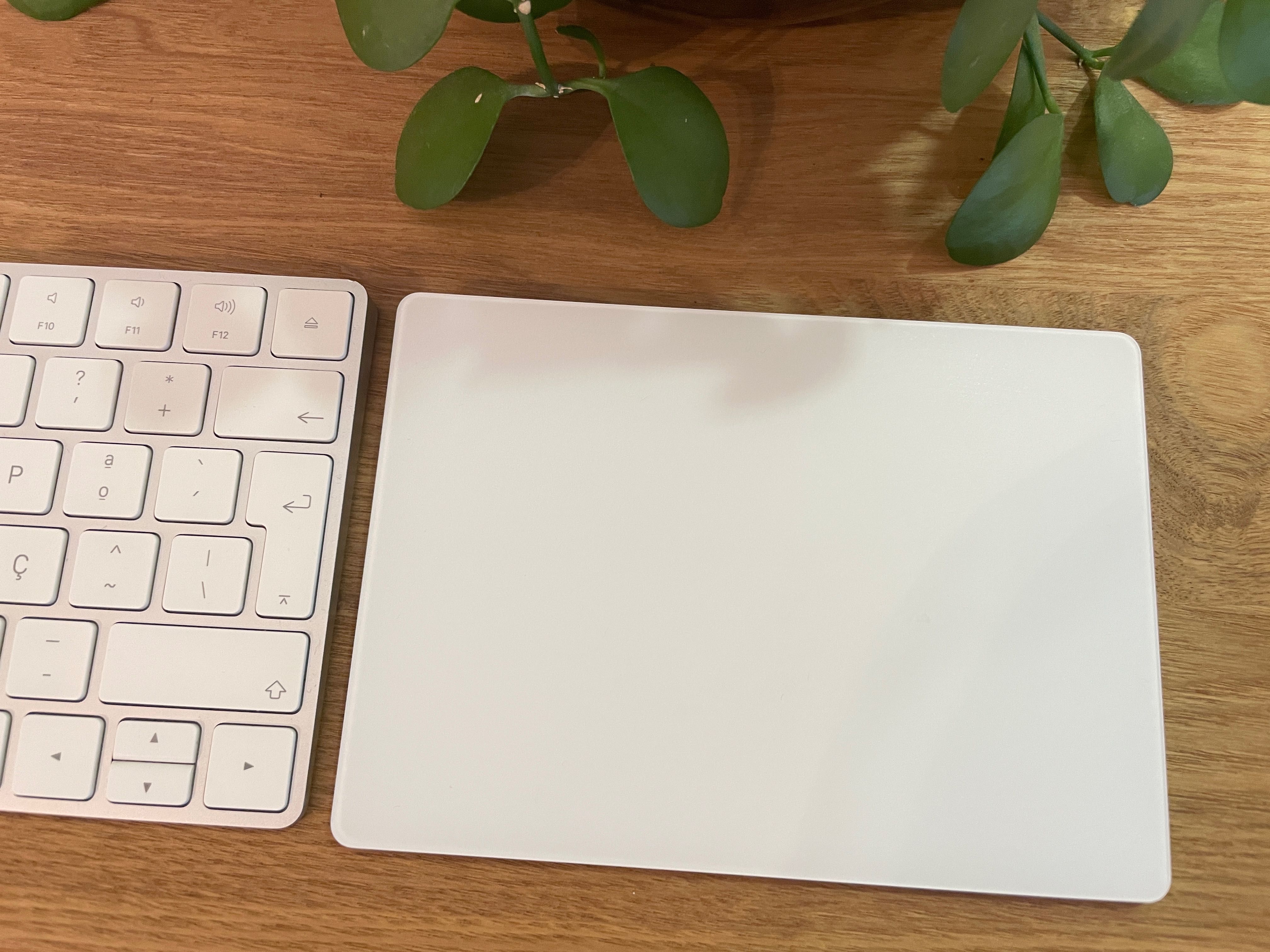 Apple Magic Keyboard + Magic Trackpad