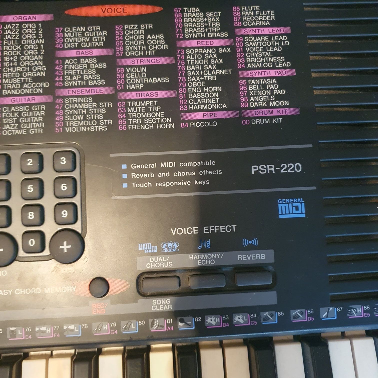 Yamaha psr 220 organy