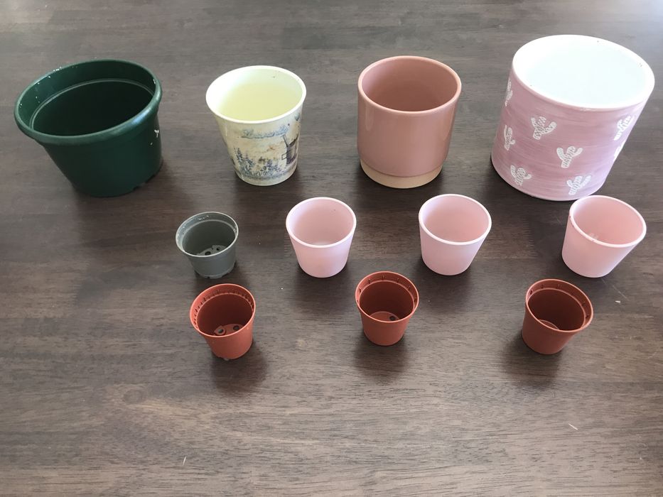 Vários vasos médios e pequenos para plantas