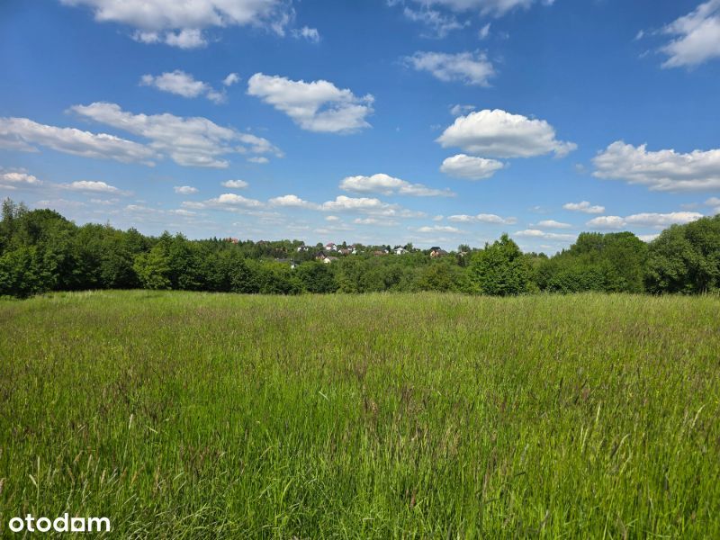 Przy lesie możliwość postawienia 3 bliźniaków