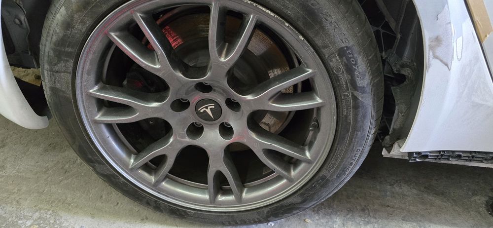 2 задних диска з тесли плейд