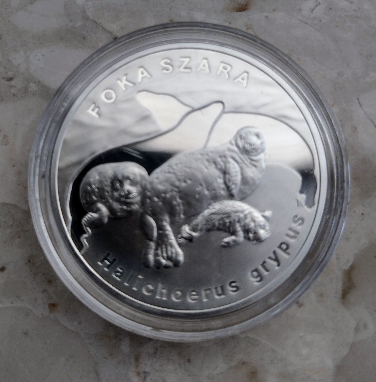 Moneta 20 zł Foka szara 2007 r