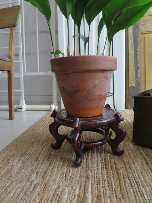 Suporte para vasos