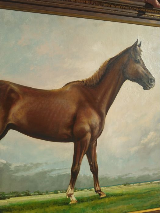 Pintura equestre de cavalo de corrida