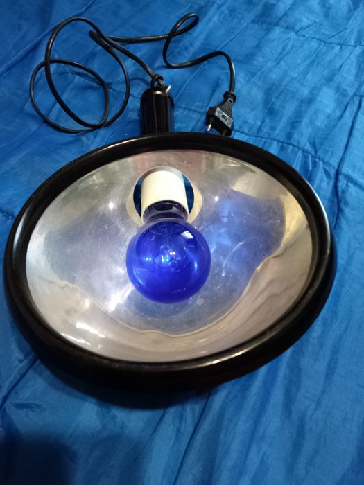 Синяя лампа для лечения