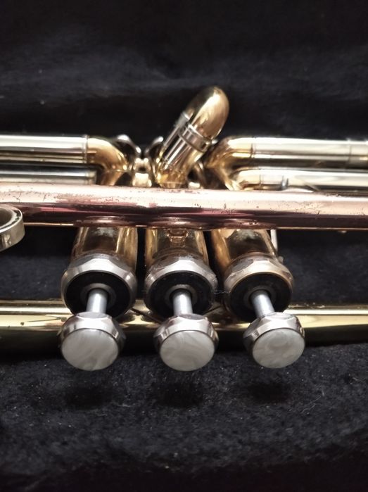 Труба  духова бах 600