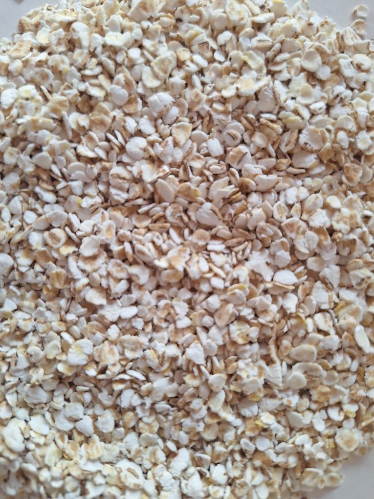 Płatek jęczmienny Danimo 12 kg.dla kur,koni,psa,bydła,gryzonia. Zanęta
