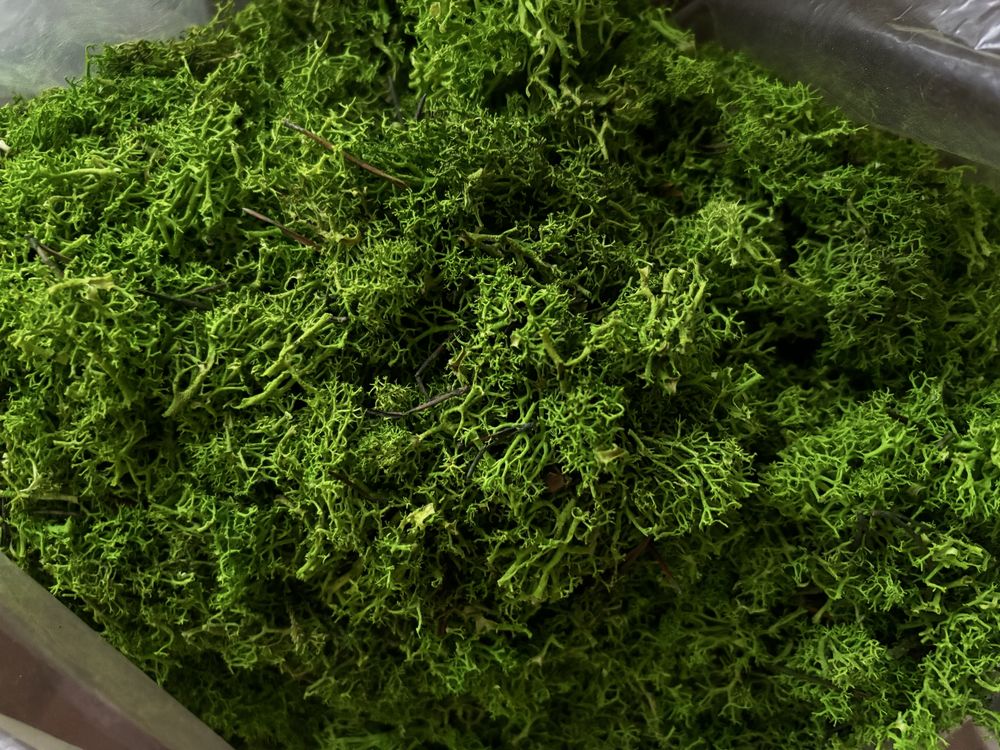 Mech chrobotek spring green 1,5kg