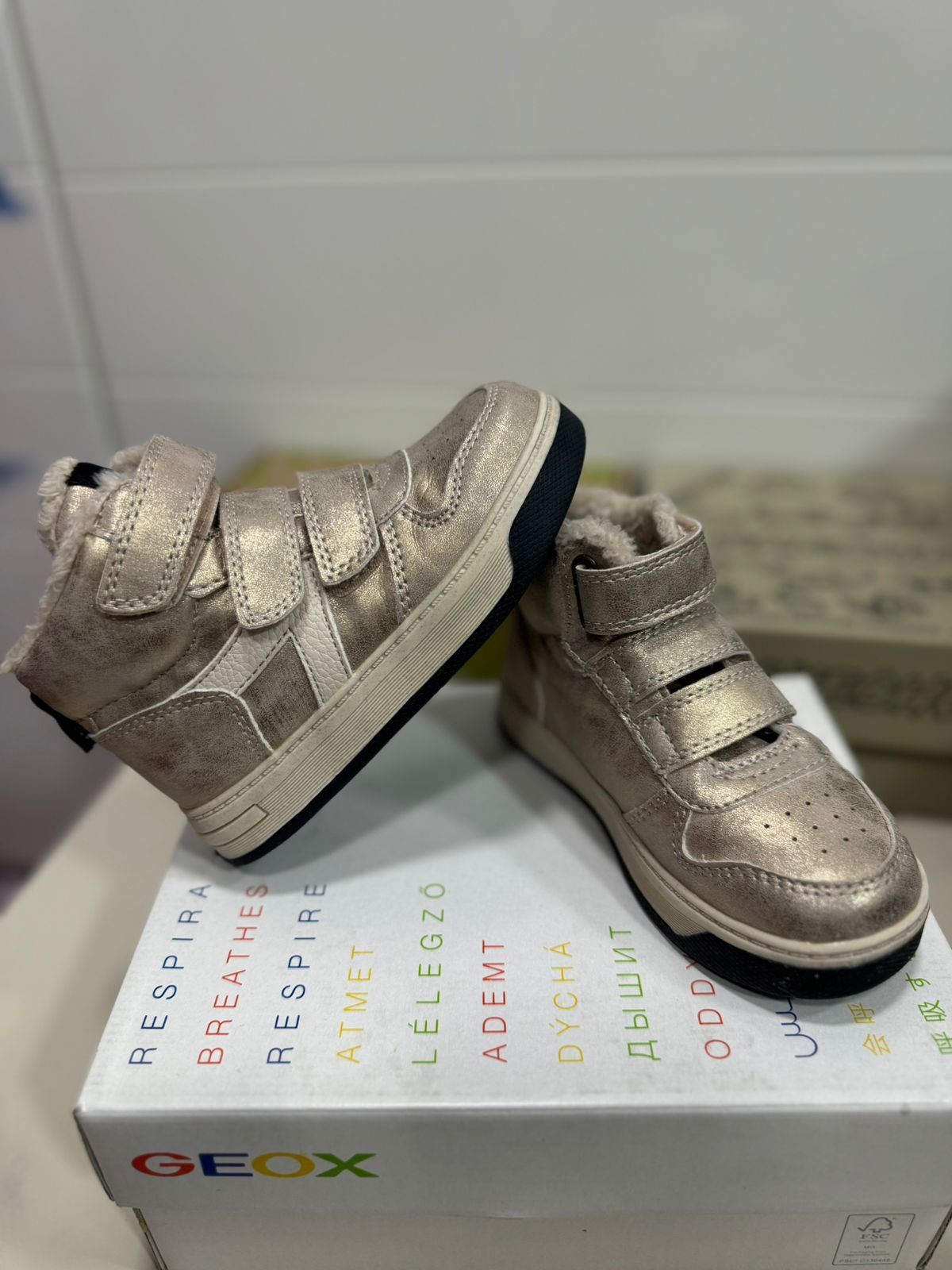 Sapatos Guimarães 24