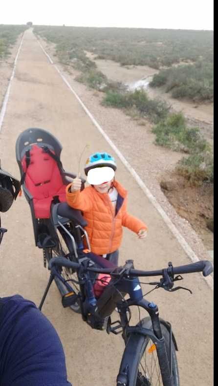 Cadeira de Bicicleta Hamax para criança