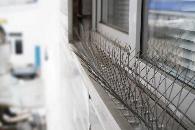 Siatka dla kota, siatka balkonowa, siatka przeciw ptakom, woliera