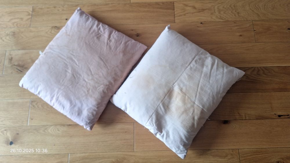 Puch naturalny kaczy