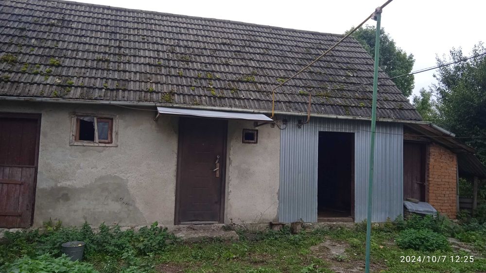 Будинок з присадибною ділянкою