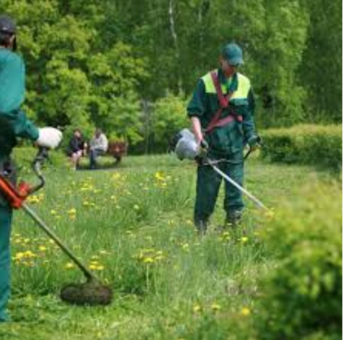 Покос травы любой сложности, Покос травы