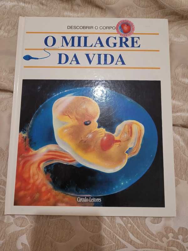 Coleção de livros - Descobrir o corpo