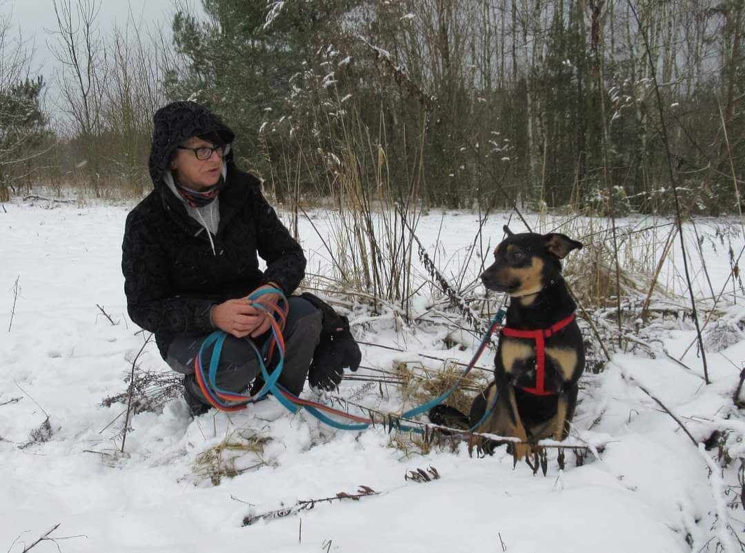 Lori poleca się adopcji