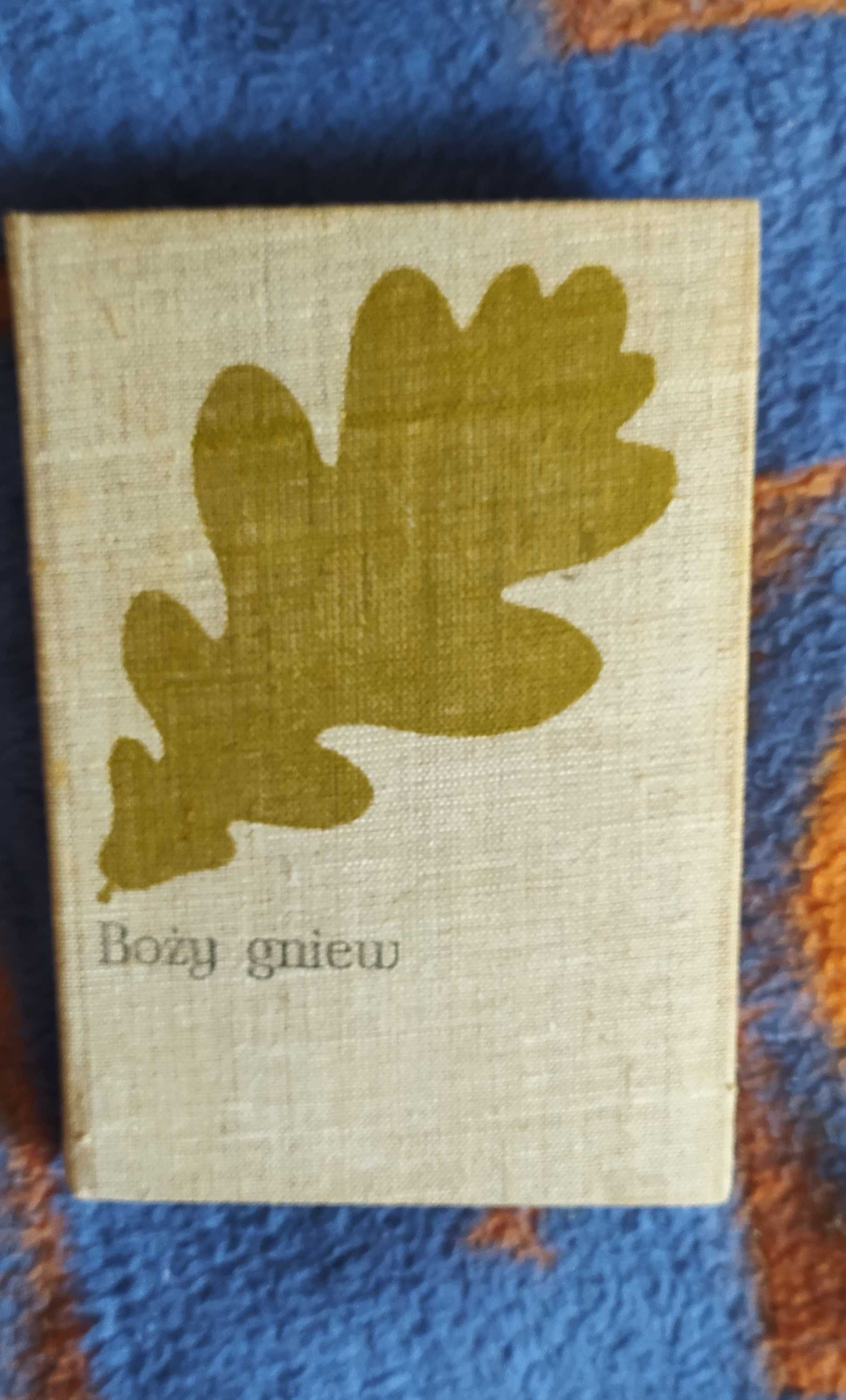 Boży gniew Józef Ignacy Kraszewski