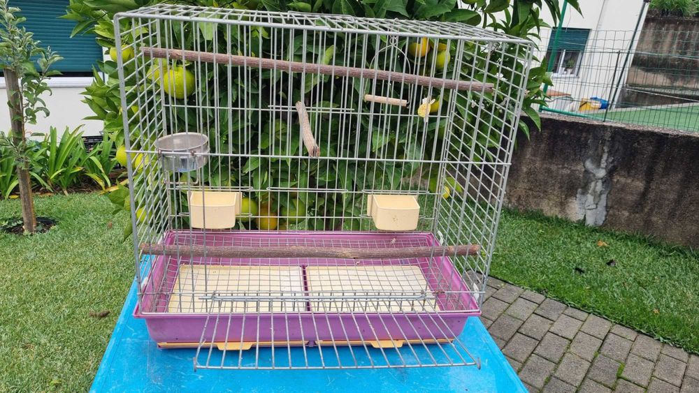 Úteis para passaros