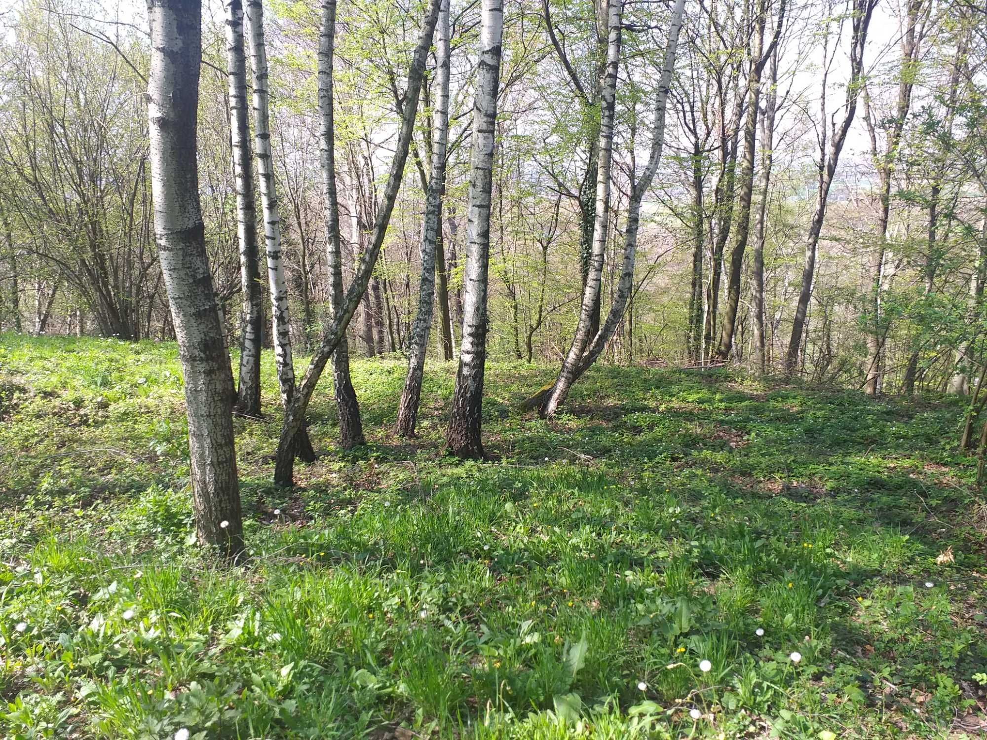 Sprzedam urokliwą działkę rolną w m. Jaroszówka