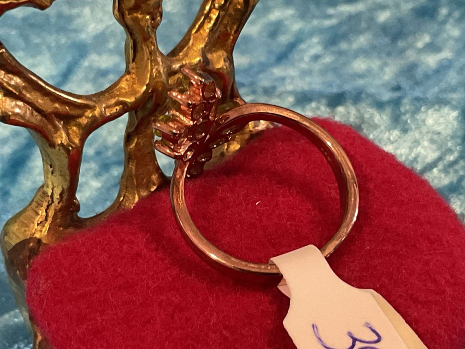 Anel prata 925 tamanho 15 m