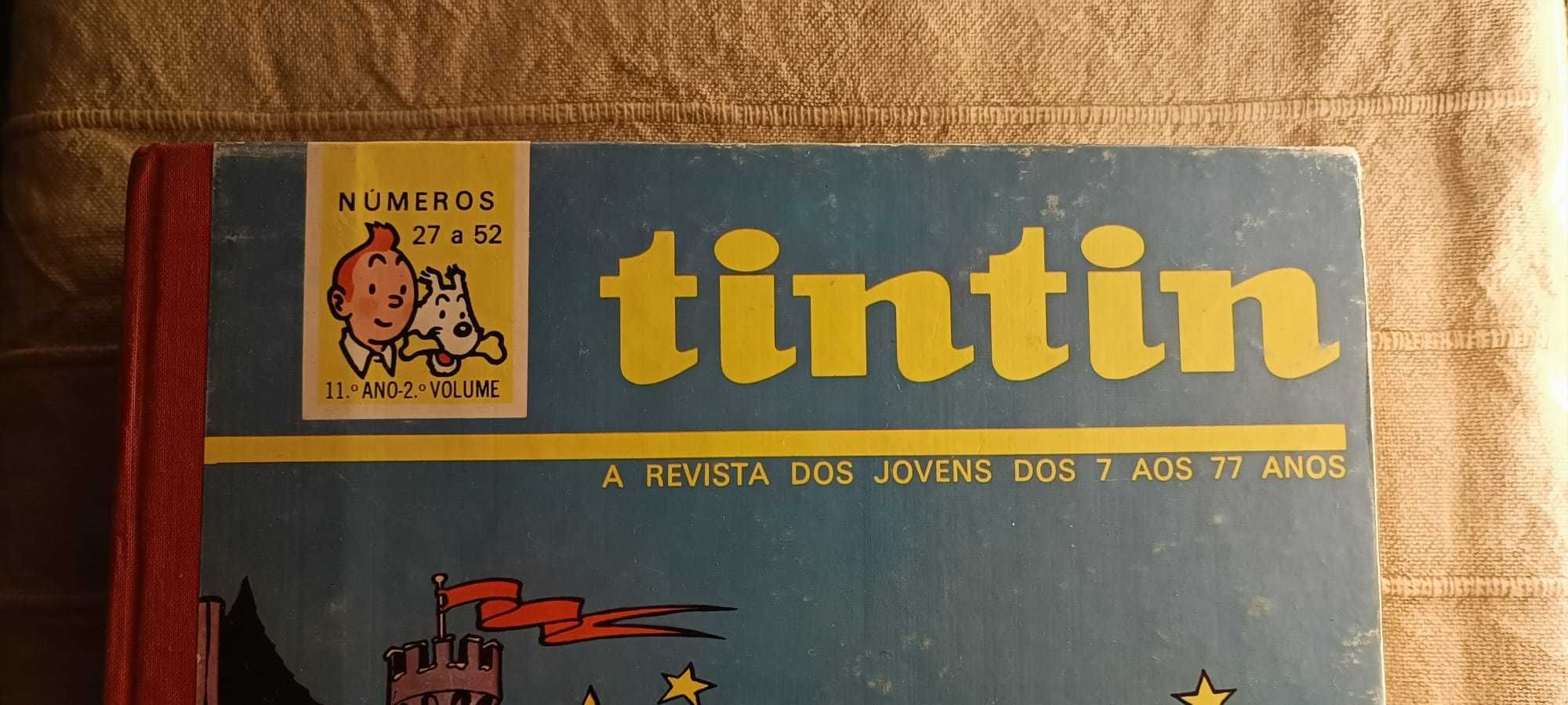 Tintins 11 ano 2 semestre