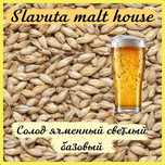 Солод Ячменный Базовый Pilsner для Пивоварения и под Дистилляцию