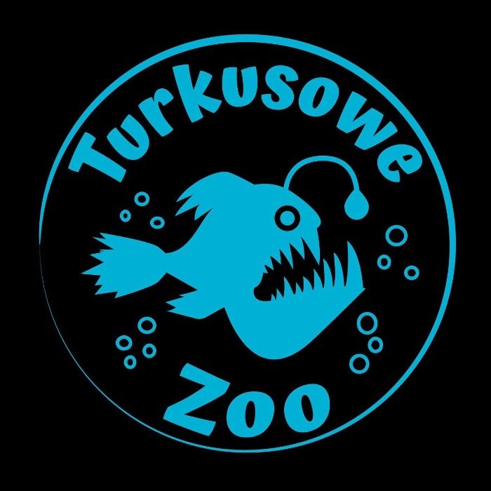 Indykator CO2 z płynem wskaźnikowym STANDARD Sklep Turkusowe Zoo