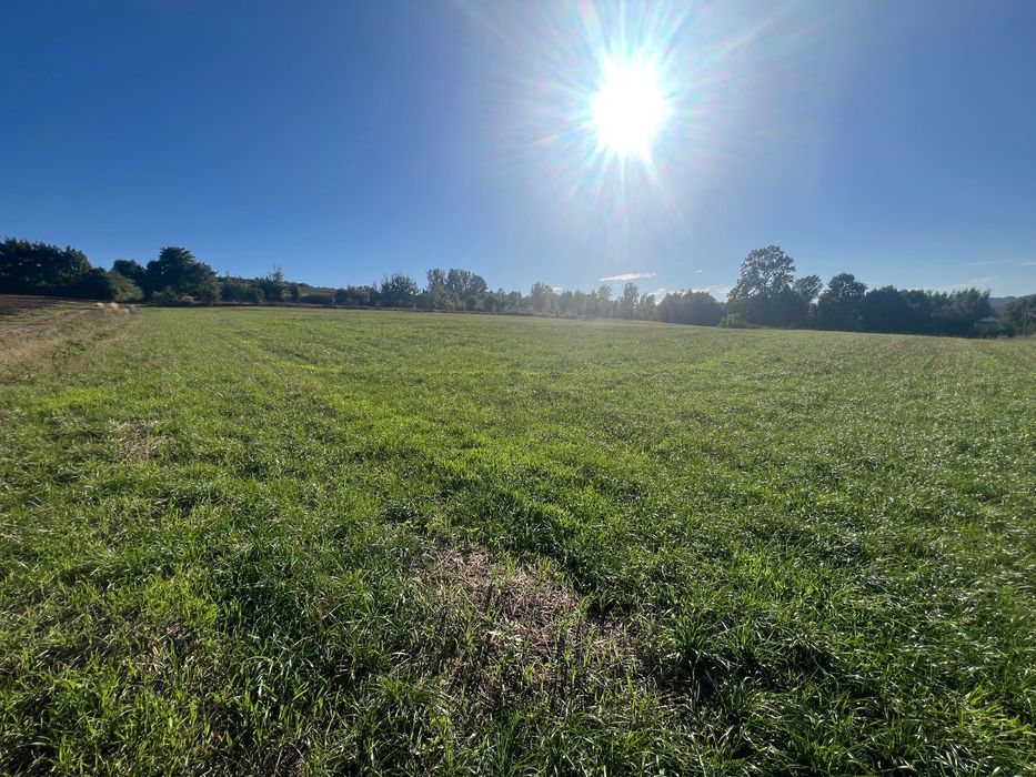 Wyjątkowa działka nad Zalewem Wióry – 2740 m² tylko 100 zł netto za m2