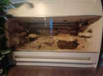 Terrarium pustynne 150x70x100