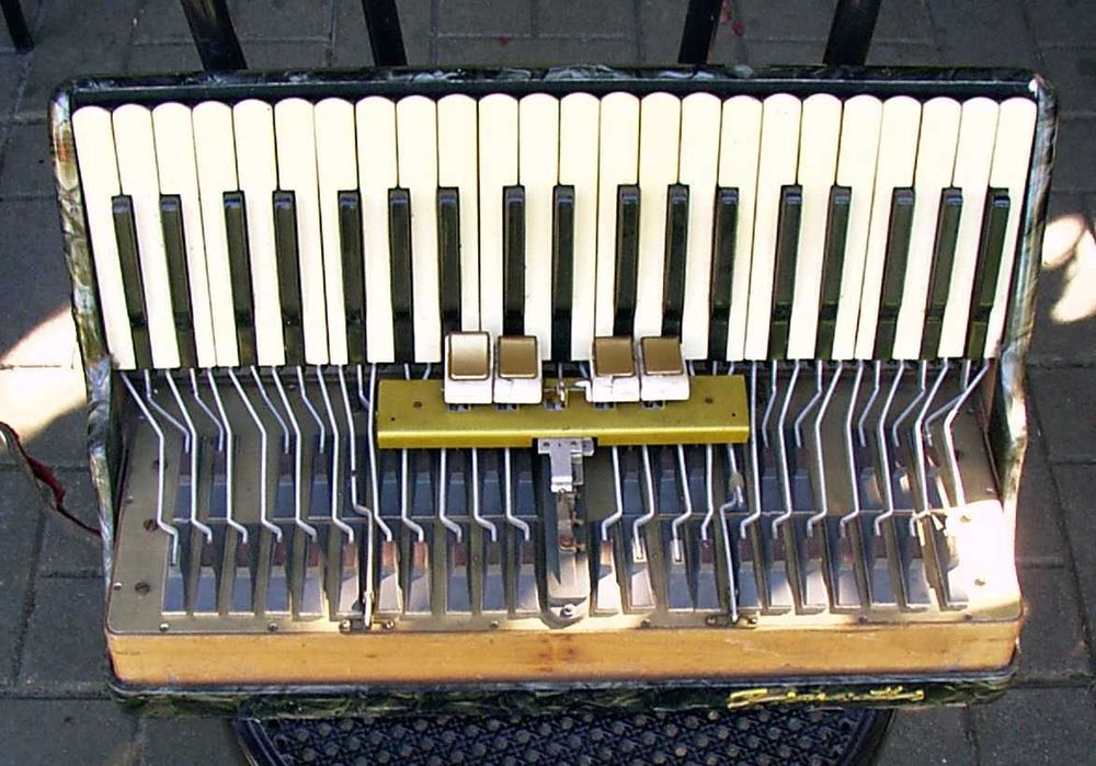 Akordeon.Korpus strona melodyczna Firotti 120 bas