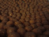 Kulki proteinowe - 5 kg