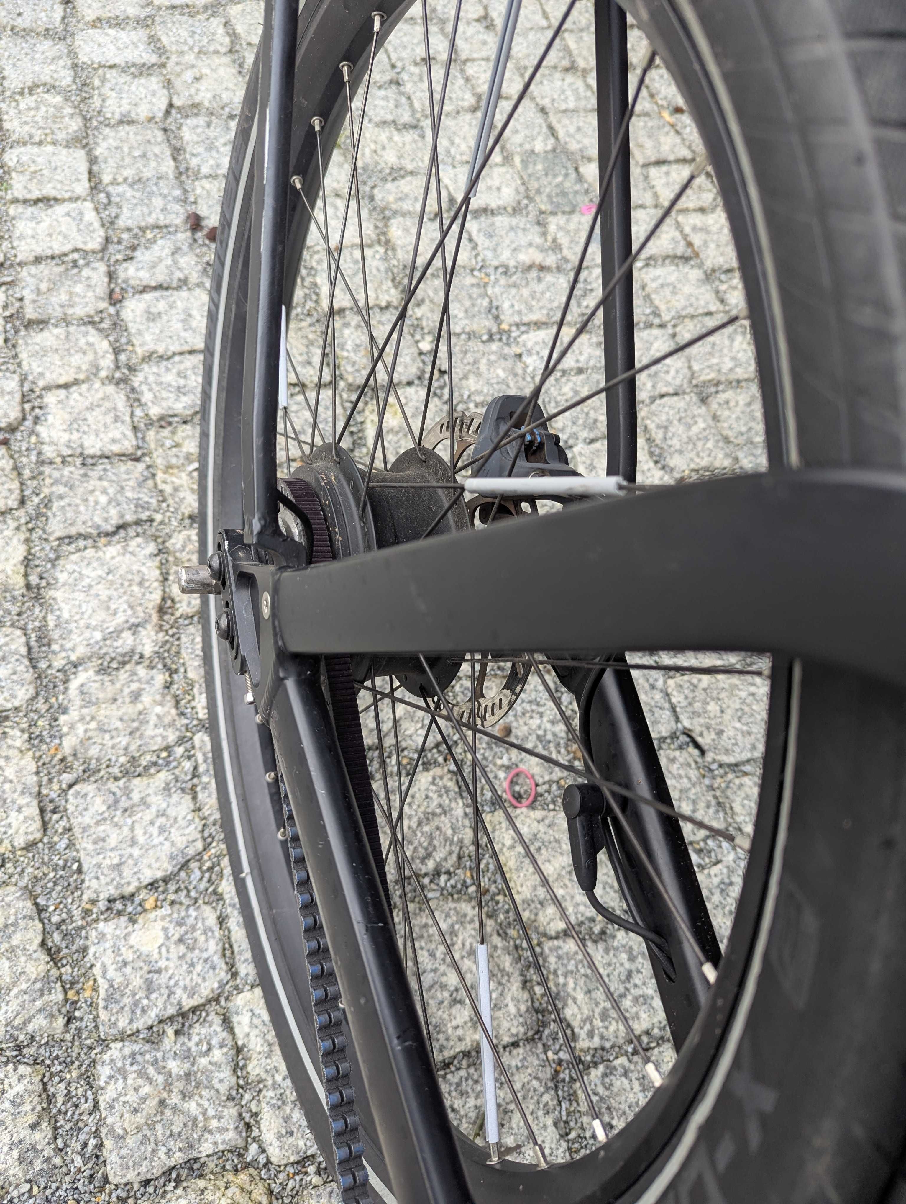 Riese Muller Charger 3 GT Vario Bosch Performance Enviolo Gates 2020
