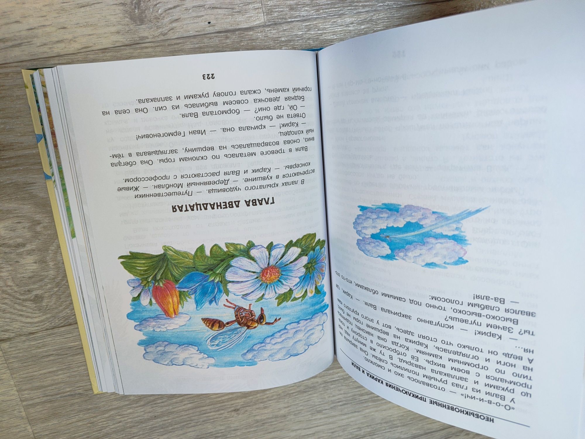 Книга, Необыкновенные приключения Карика и Вали,Ян Ларри