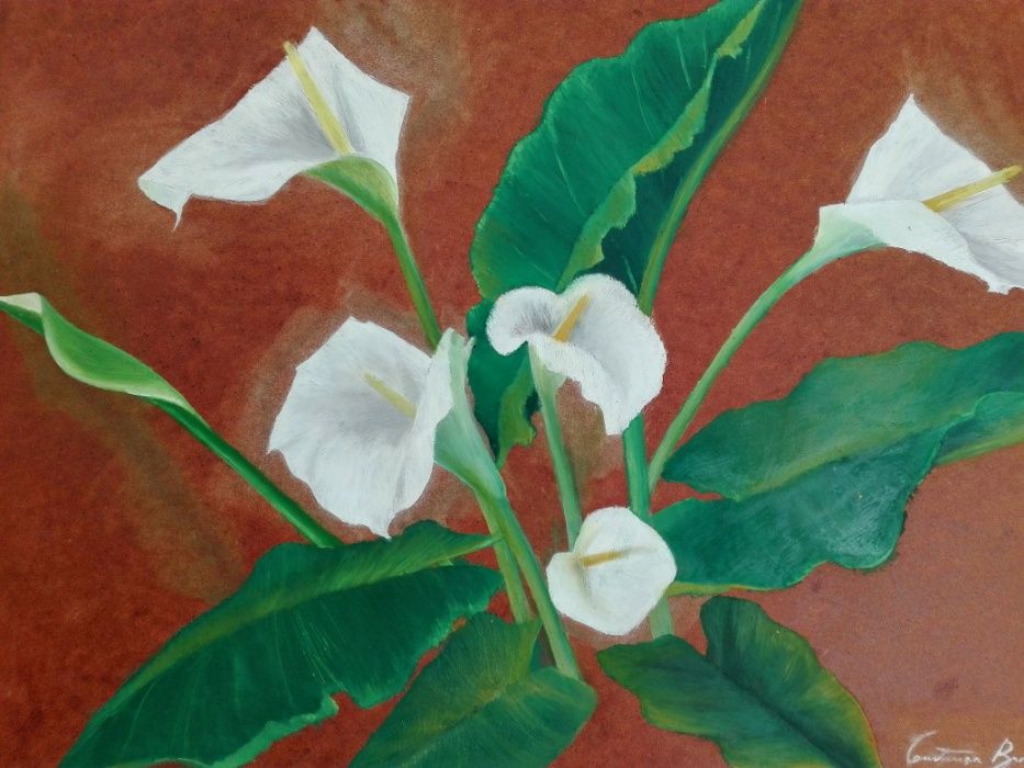 Pintura a óleo sobre Tela de Madeirada - Constança Bracourt 1987