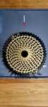 Kaseta Sram Eagle XX1 10-50 nowa Gold